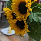 birthday wishes and more dance – deseos de cumpleaños y más baile